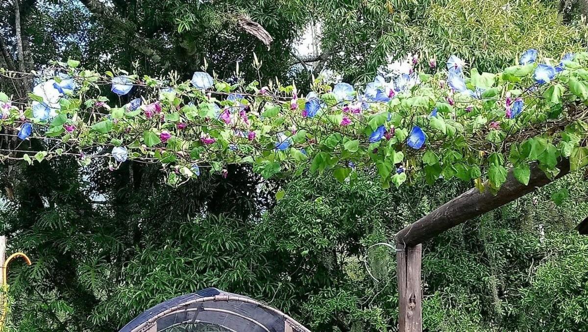 Tiny House Garden - Aparados Da Serra - Sc Villa Praia Grande  Exterior photo